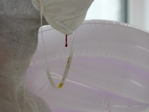 Performance Art, Residence Belfast